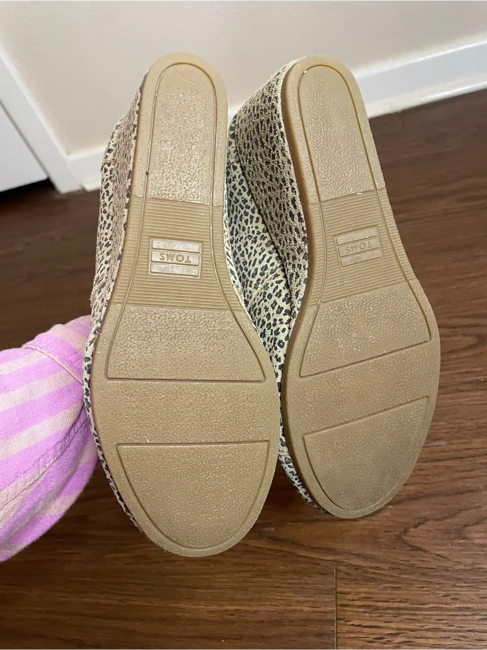 Toms 🐆 leopard